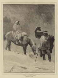Lost in the Snow
